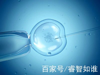 供卵包男孩正规代生公司